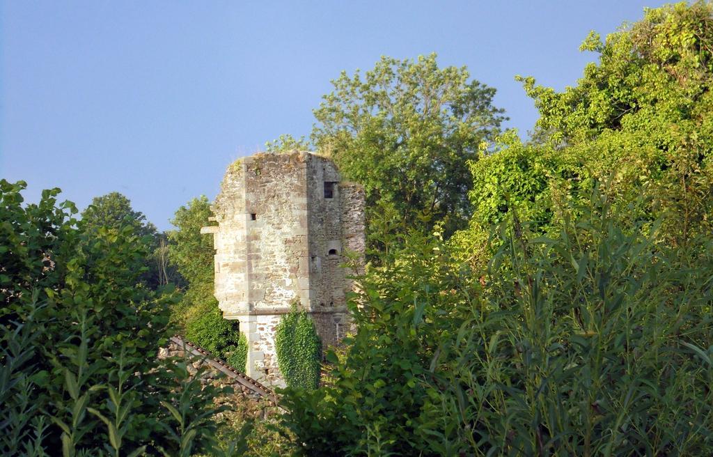לינה וארוחת בוקר Hardanges Chateau De La Chasse-Guerre מראה חיצוני תמונה